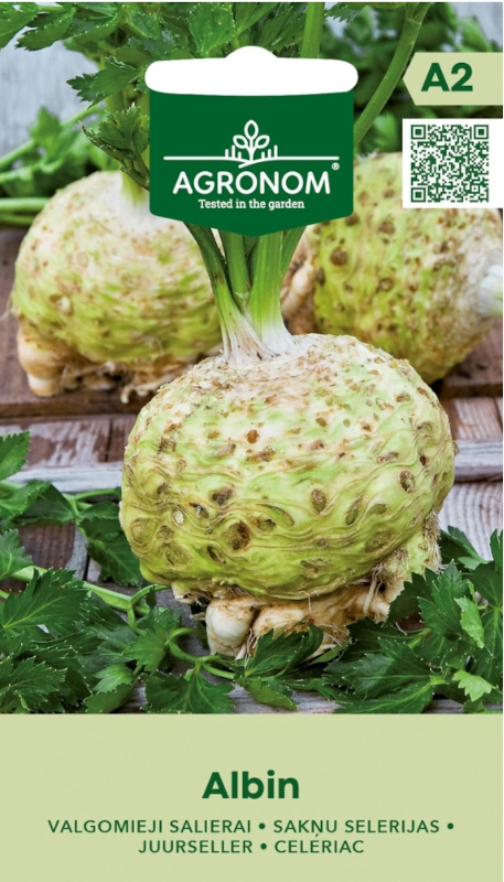 Seler korzeniowy Albin smaczna odmiana o aromatycznych dużych korzeniach nasiona 0,2g AGRONOM sklep rajogordnika